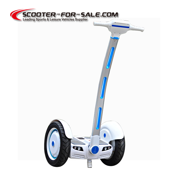 350W Dual Motor Segway Scooter,2 wheel electric scooter